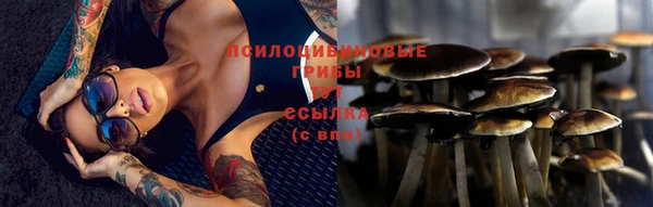 прущий лед Каменка