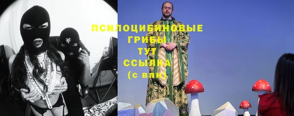 прущий лед Каменка