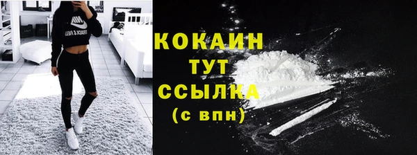 прущий лед Каменка