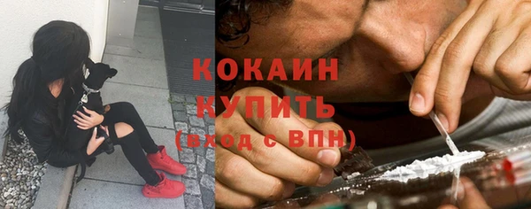 прущий лед Каменка