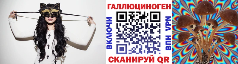 Псилоцибиновые грибы прущие грибы Купить Грязовец